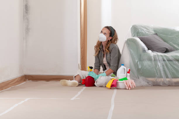 Reliable Mold Testing contractor in Pasadena, TX by WQB Mold Removal